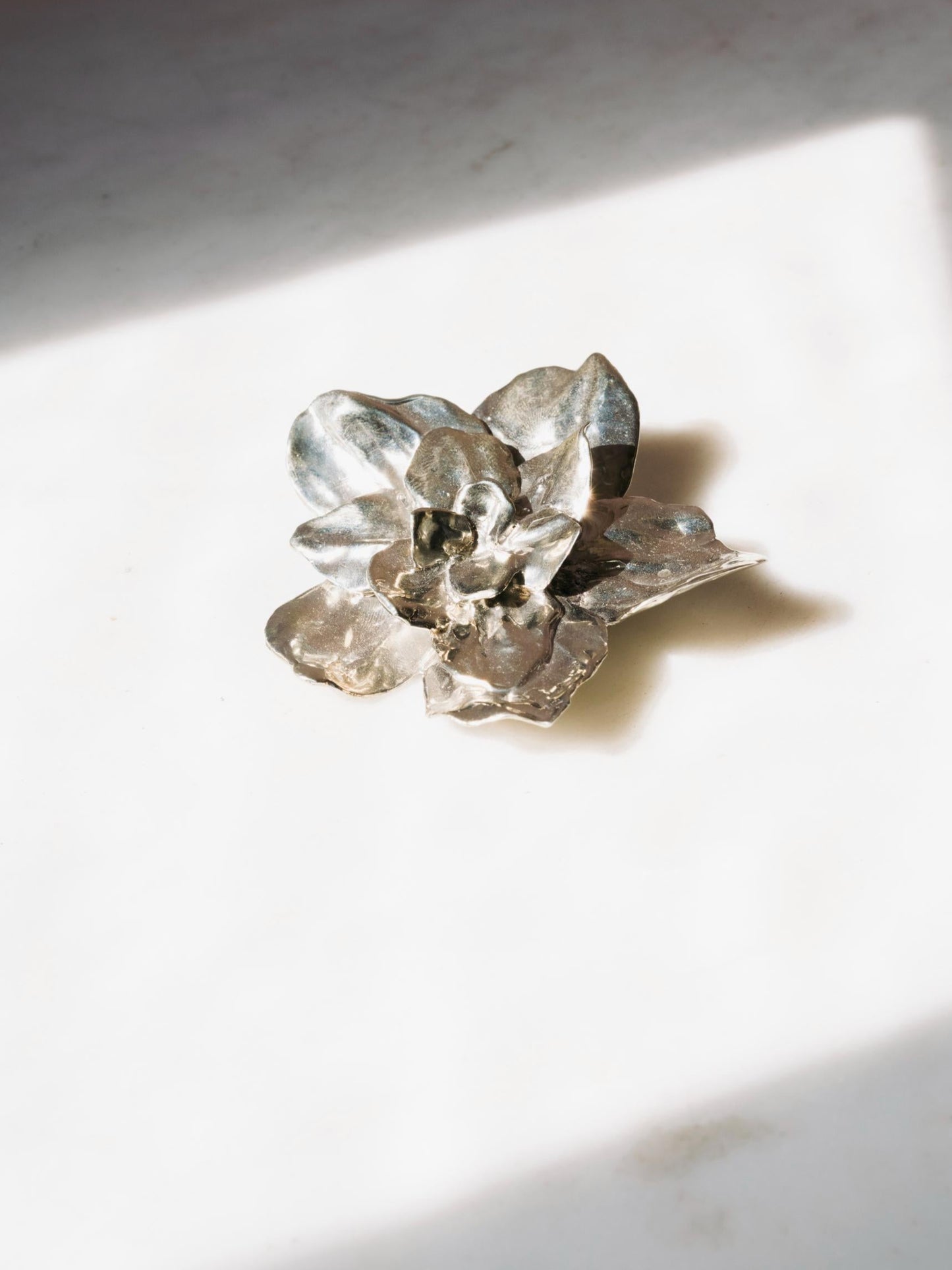 Botanical Brooch / Pendant (Large)