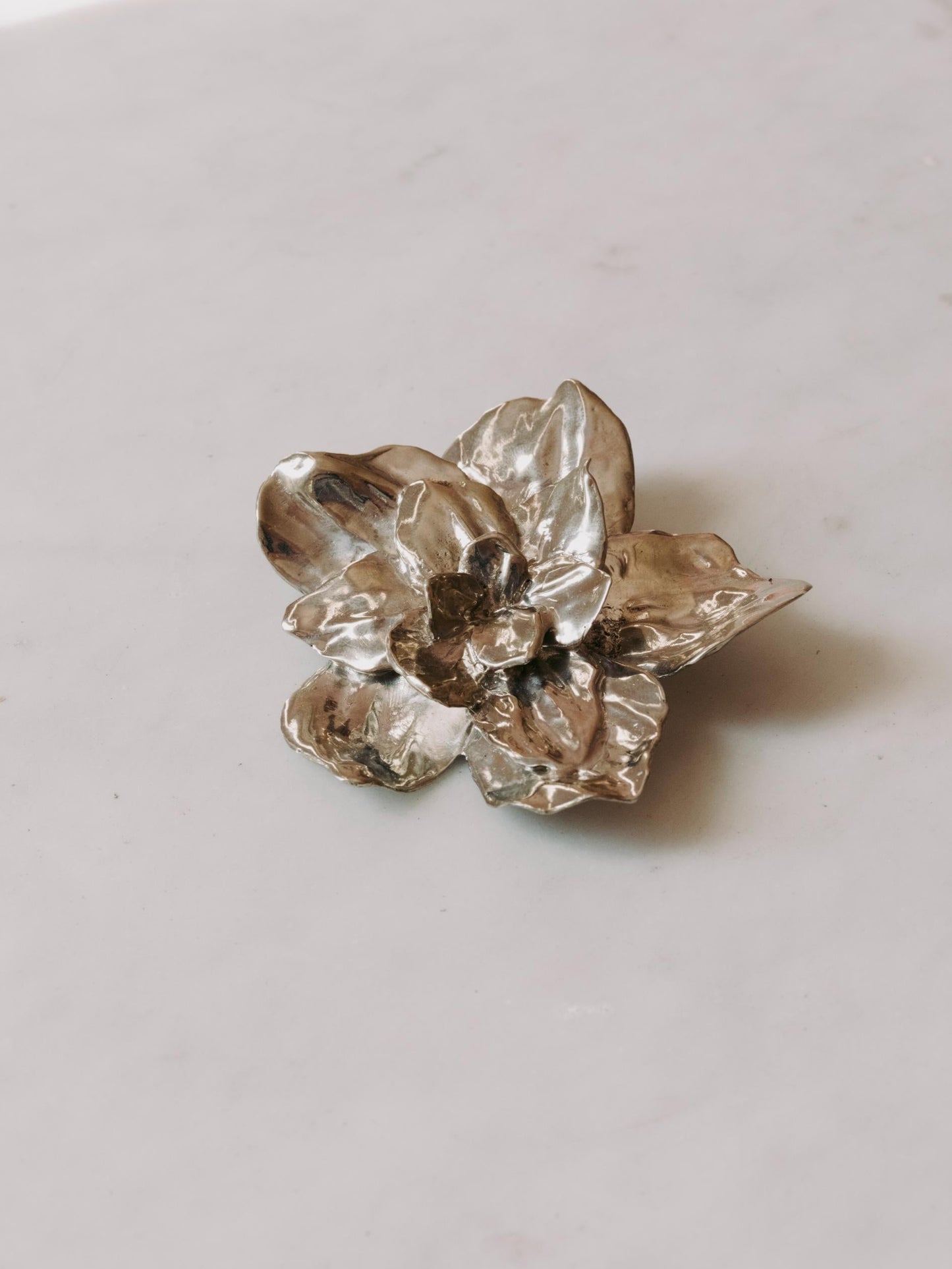 Botanical Brooch / Pendant (Large)