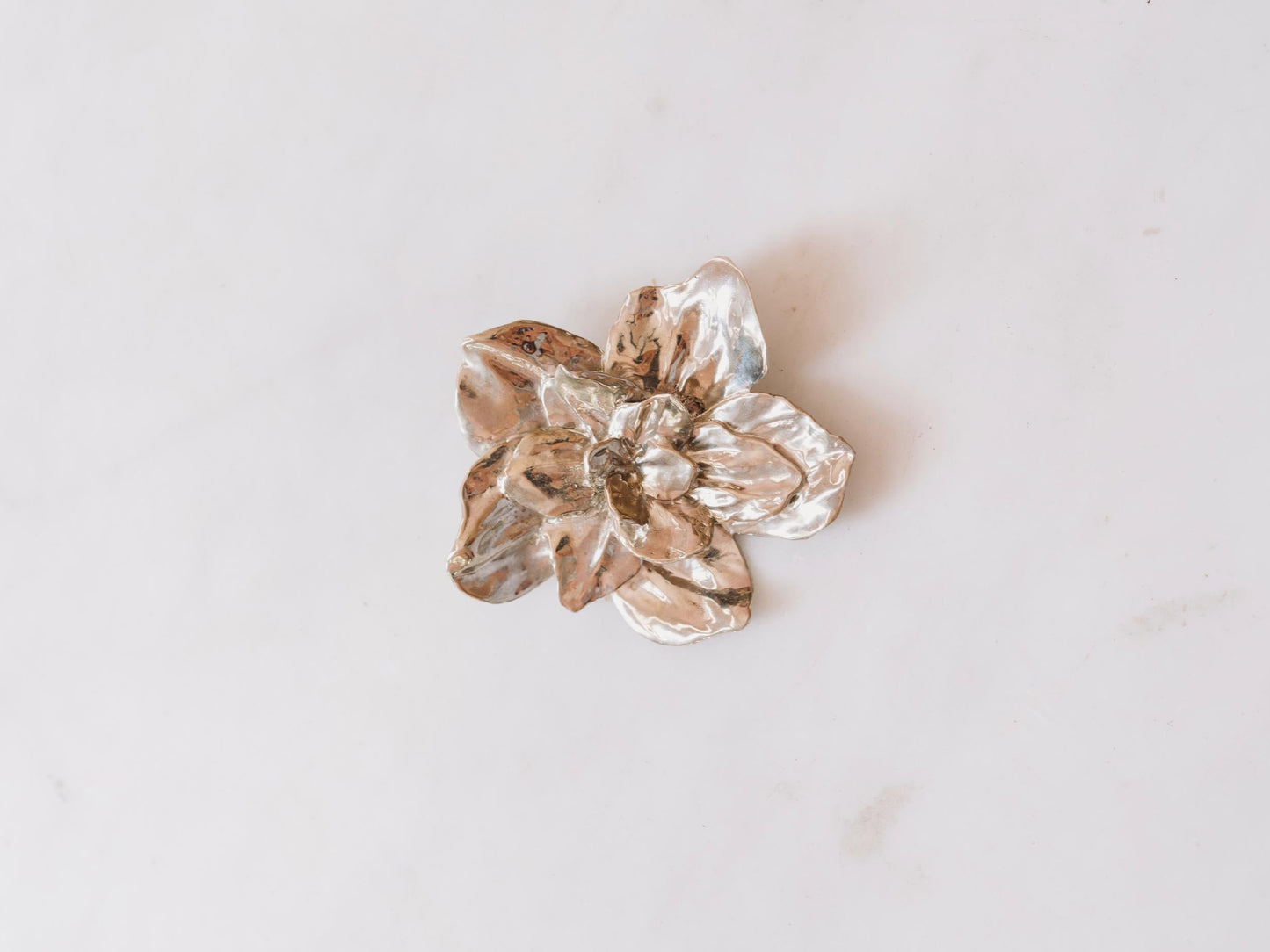 Botanical Brooch / Pendant (Large)
