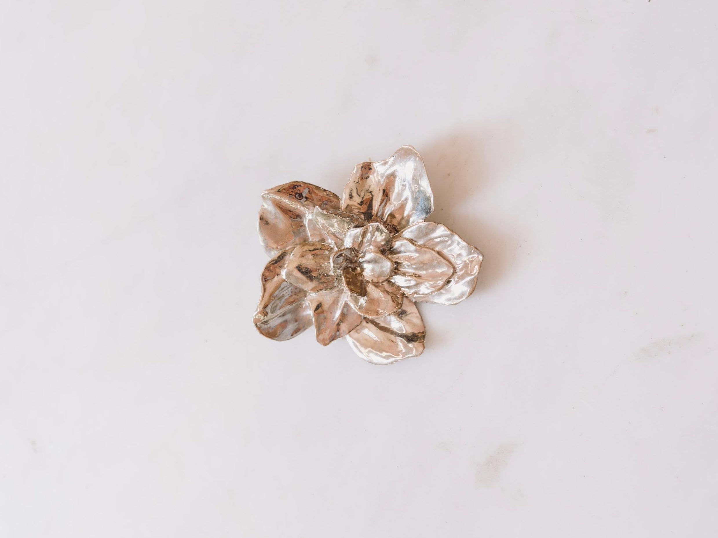 Botanical Brooch / Pendant (Large)