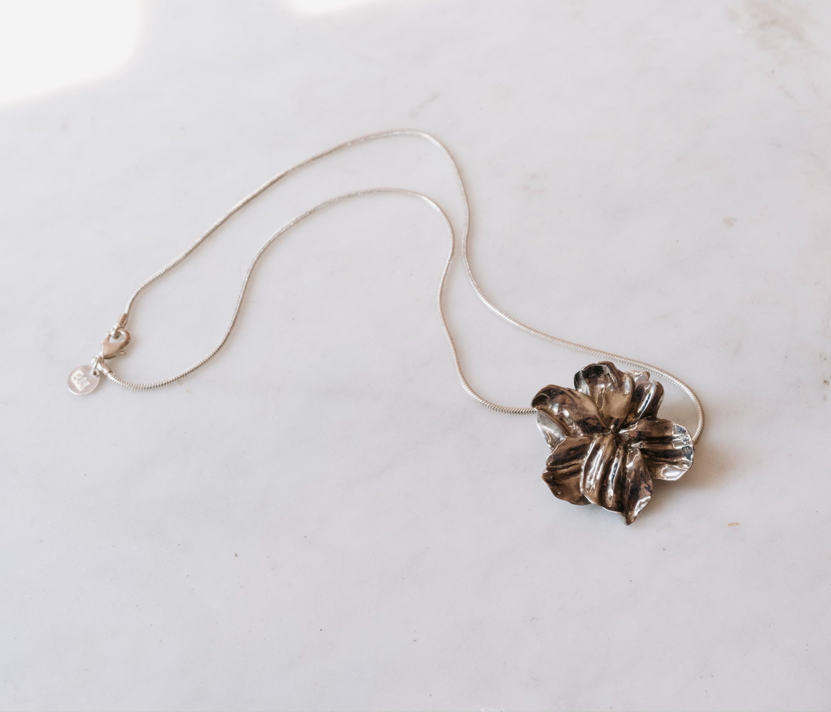 Botanical Pendant / Brooch (Small)