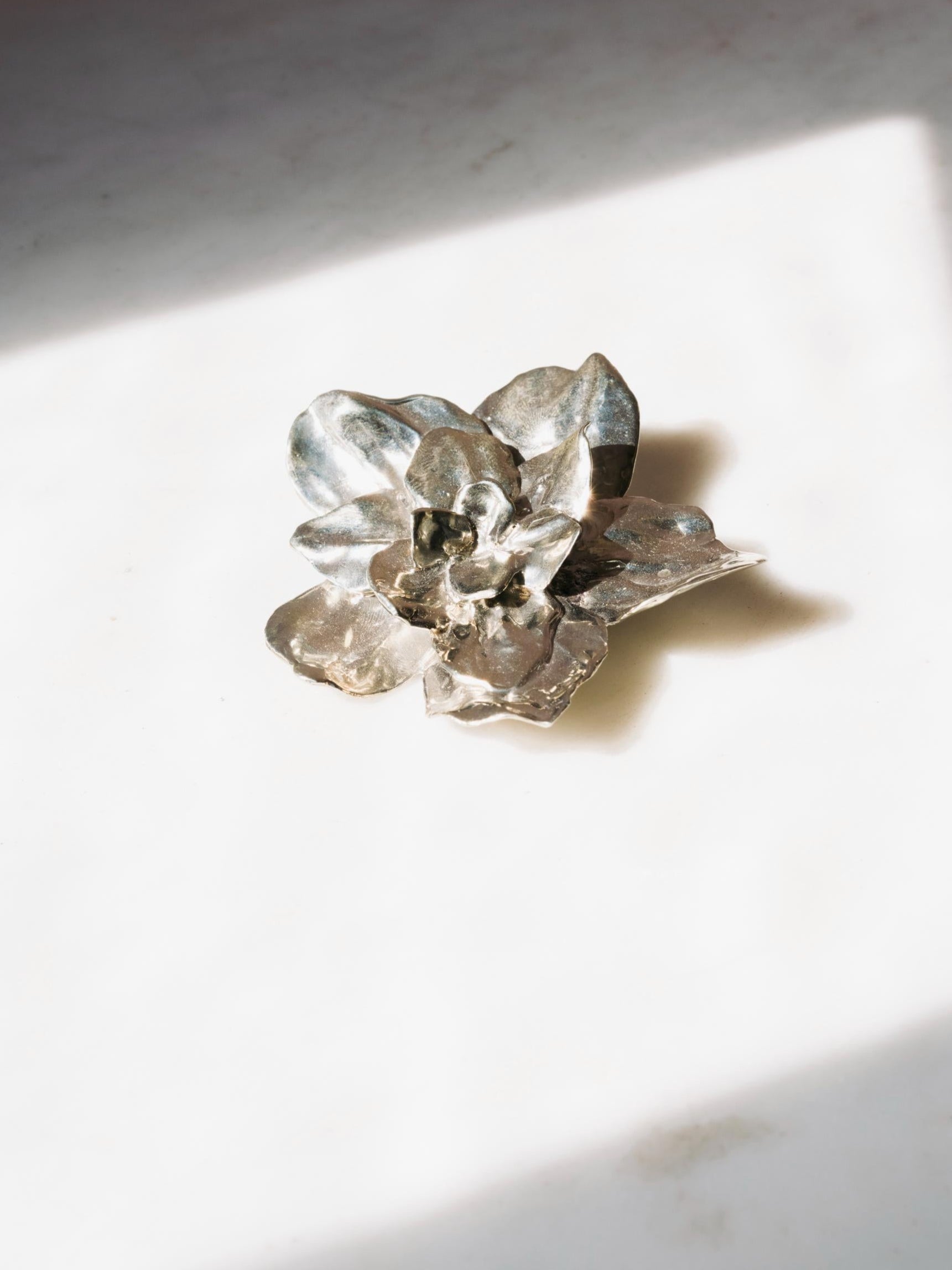 Botanical Brooch / Pendant (Large)