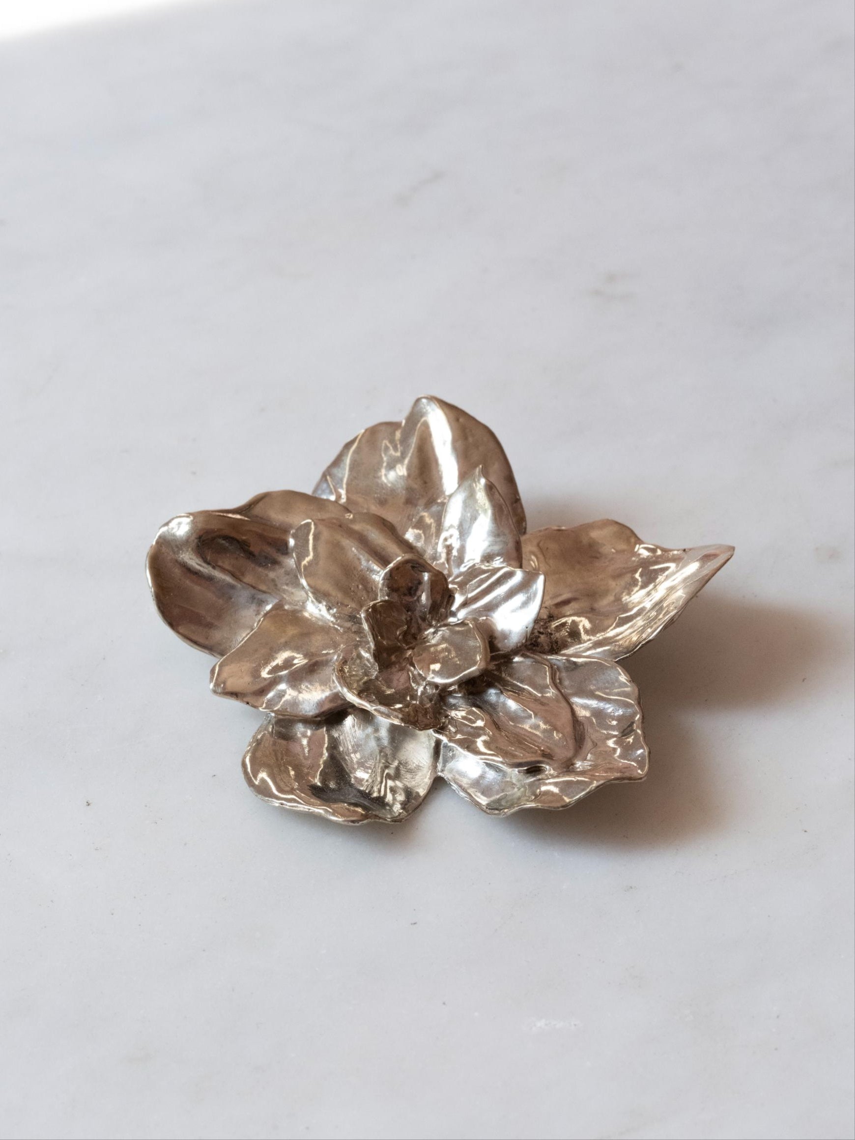 Botanical Brooch / Pendant (Large)